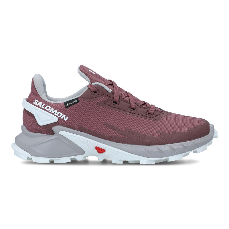 Ženske patike Salomon Shoes Alphacross 4 Gtx W Wild Ginger/Ash