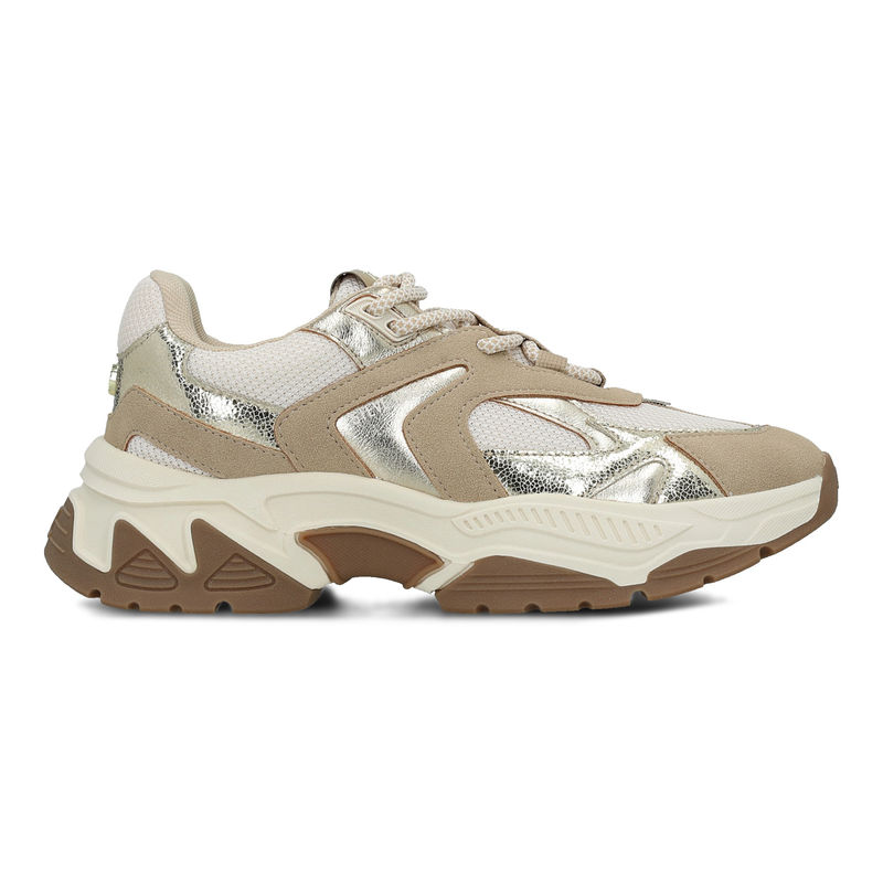 Ženske patike Steve Madden Ample low top