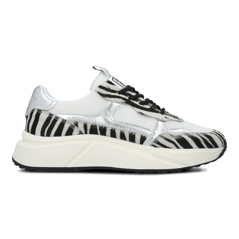 Ženske patike Steve Madden Starlyn