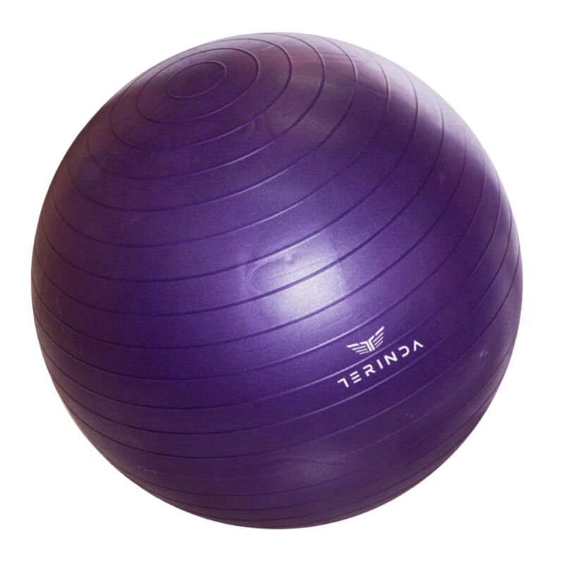 Lopta za gimnastiku Terinda Yoga bala 65