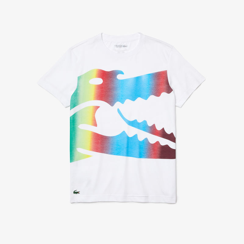 Muška T-Shirt majica Lacoste
