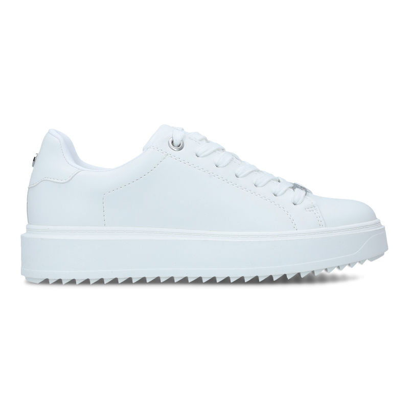 Ženske patike Steve Madden Catcher