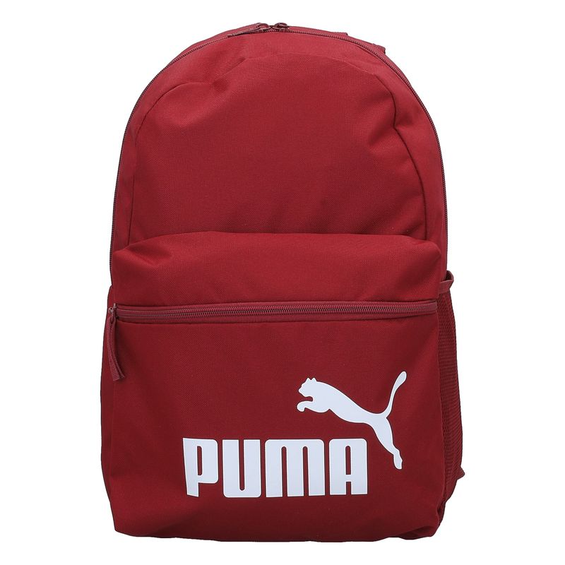 Ranac Puma Phase Backpack
