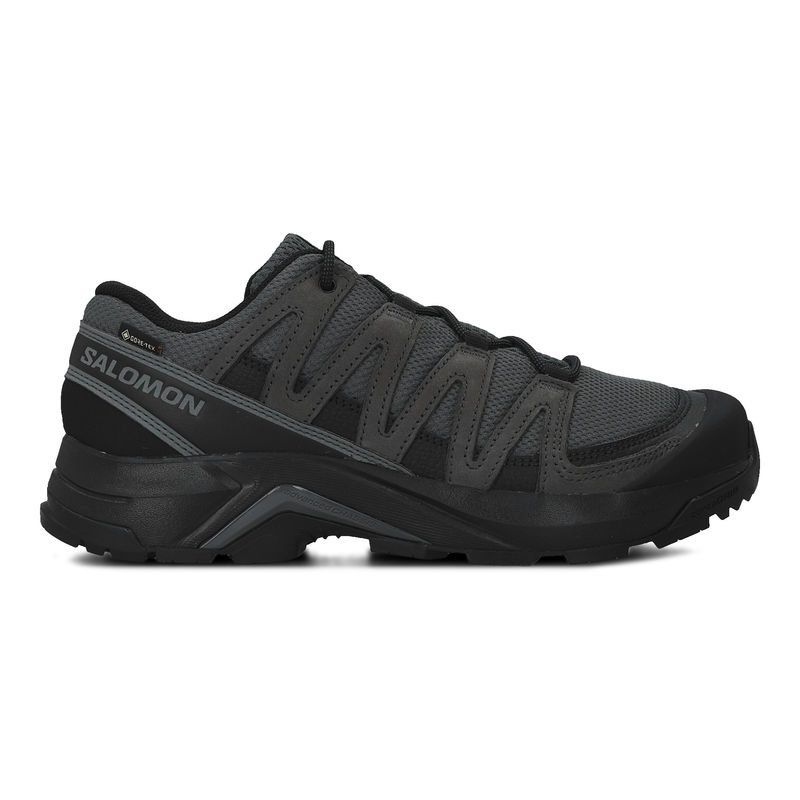 Muške cipele Salomon X-adventure recon gtx