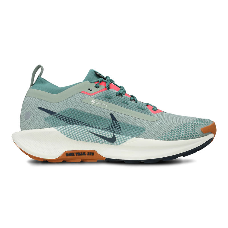 Muške patike Nike Pegasus Trail 5 Gtx