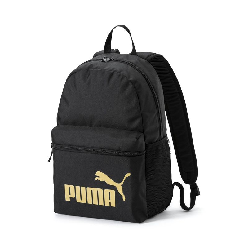 Ranac PUMA Phase Backpack