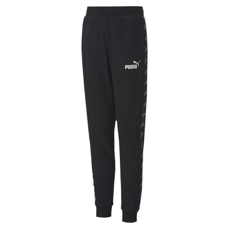 Dečija trenerka donji deo Puma Amplified Sweat Pants FL G