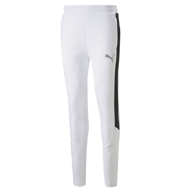 Muška trenerka donji deo Puma EVOSTRIPE PANTS