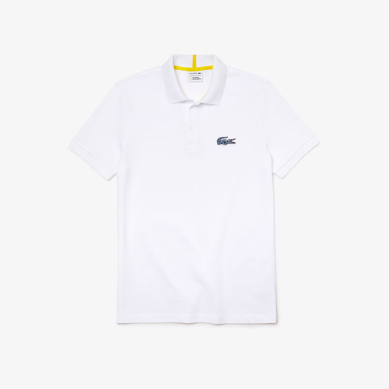 Muška polo majica Lacoste