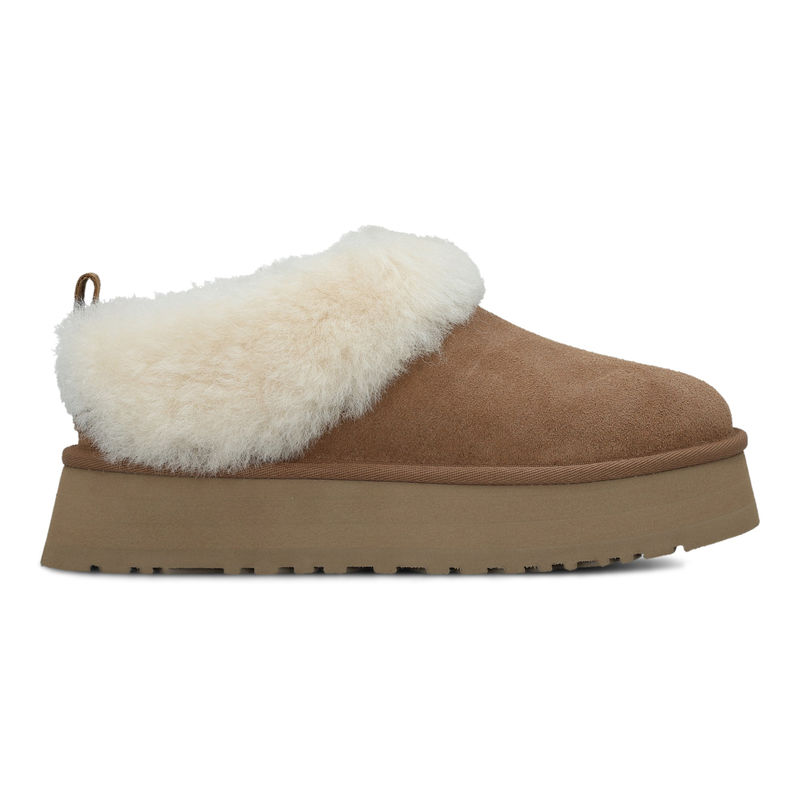 Ženske čizme Ugg Tazzelle