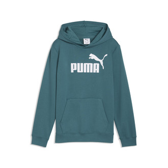 Dečiji duks sa kapuljačom Puma Ess no. 1 logo hoodie tr b