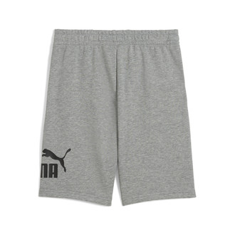 Dečiji šorc Puma Ess No. 1 Logo Shorts Tr B