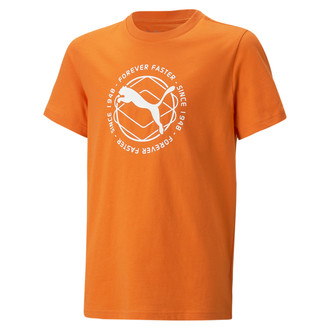Dečija majica Puma Active Sports Graphic Tee B