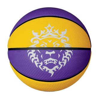 Lopta za košarku Nike Playground 2.0 8p l james deflated