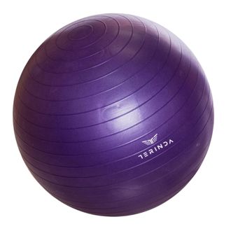 Lopta za gimnastiku Terinda Yoga bala 65