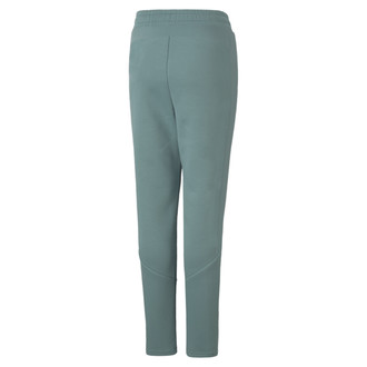 Dečija trenerka donji deo Puma EVOSTRIPE PANTS B