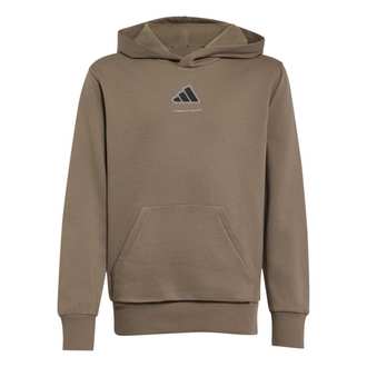 Dečiji duks sa kapuljačom adidas B fl hd