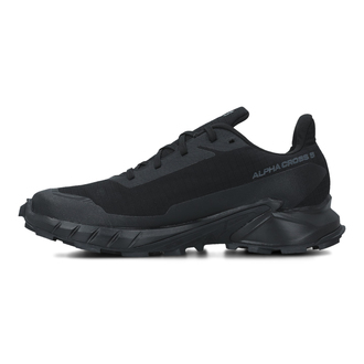 Muške cipele Salomon Alphacross 5 Gtx