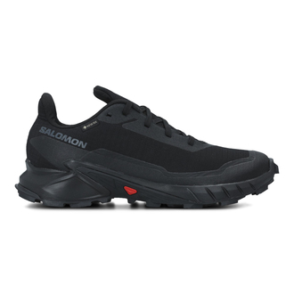 Muške cipele Salomon Alphacross 5 Gtx