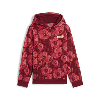 Dečiji duks Puma Ess+ Class Act Aop Hoodie Fl G