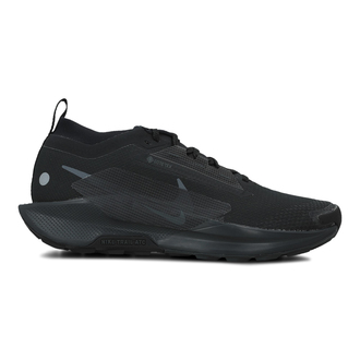 Muške patike Nike Pegasus Trail 5 Gtx
