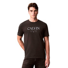 Muška majica Calvin Klein Ss 20s ln calvin graphic tee