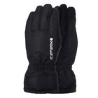 Unisex ski rukavice ICEPEAK HAYDEN