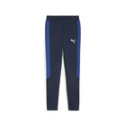 Dečija trenerka donji deo Puma Evostripe Pants Dk B