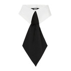 Ženska kravata Karl Lagerfeld Collar And Tie