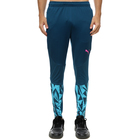 Muška trenerka donji deo Puma Individualfinal Training Pants