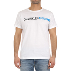 Muška majica Calvin Klein STRIPE INSTITUTIONAL LOGO TEE
