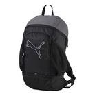 Ranac Puma ECHO BACKPACK