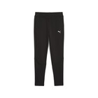 Dečija trenerka donji deo Puma Evostripe Pants Dk B