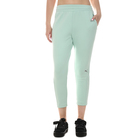 Ženska trenerka donji deo Puma Evostripe Pants