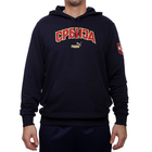Muški duks Puma Fss Ftblicons Hoody