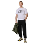 Mu&scaron;ka majica 4F Tshirt m2659