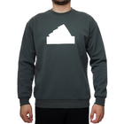 Muški duks adidas M FI BOS CRW LEGIVY