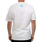 Muška majica adidas Mer dna gftee m