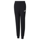 Dečija trenerka donji deo Puma Ess Sweatpants Tr G