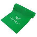 Traka za fitnes Terinda Elastic band latesa