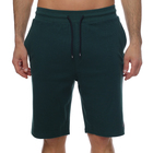 Muški šorc 4F MEN'S SHORTS