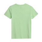 Dečija majica 4F Tshirt
