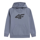 Dečiji duks 4F Sweatshirt