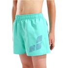 Dečiji šorc za kupanje Arena Boys' beach short logo r
