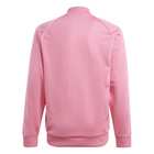 Dečiji duks adidas Sst track top
