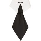 Ženska kravata Karl Lagerfeld K/essential collar and tie