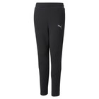 Dečija trenerka donji deo Puma Evostripe Pants B