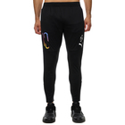 Muška trenerka donji deo Puma NEYMAR JR THRILL Training Pant