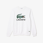 Muški duks Lacoste