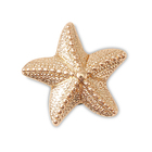 Unisex bedž Crocs Gold star fish